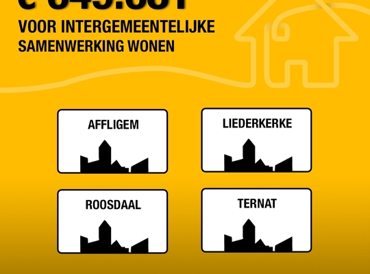 649.681 euro voor ondersteuning lokaal woonbeleid